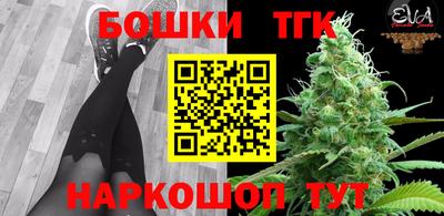 индика Гай
