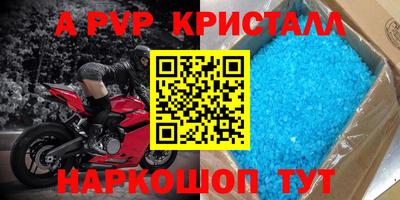 индика Гай