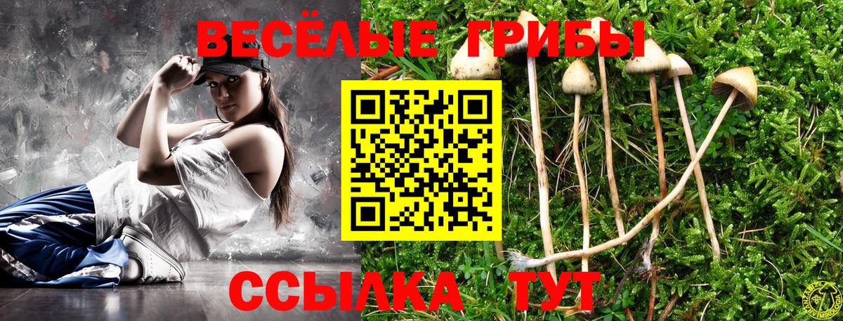 Псилоцибиновые грибы MAGIC MUSHROOMS  Вход с VPN  Надым 