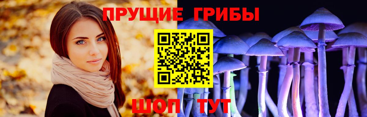 Галлюциногенные грибы мицелий Надым